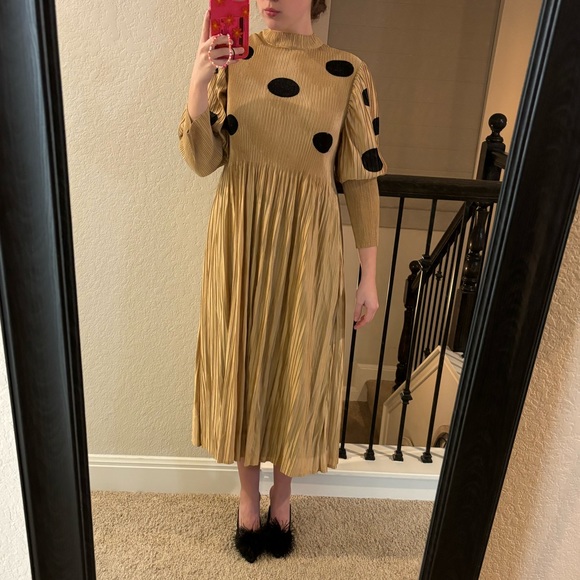 Dotted Pleated Dress - Picture 2 of 4